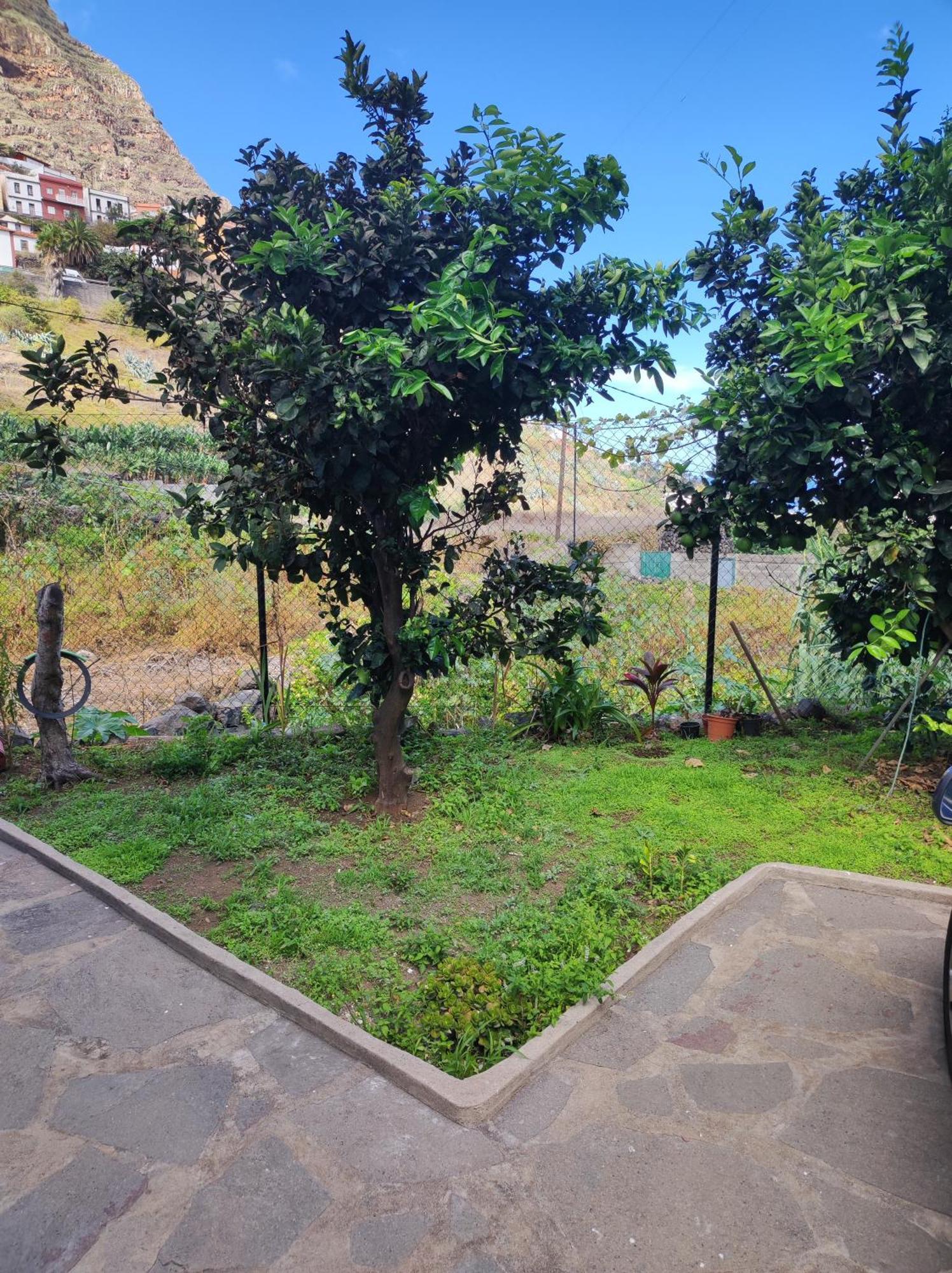 Casa Donela Apartment Hermigua Bagian luar foto